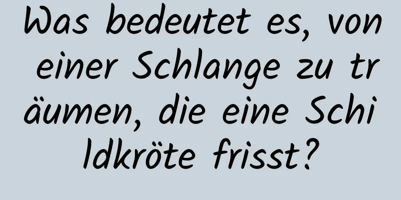 Was bedeutet es, von einer Schlange zu träumen, die eine Schildkröte frisst?