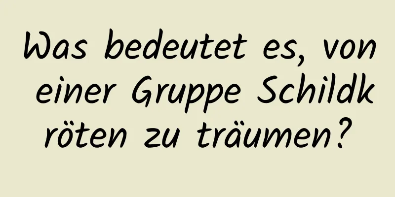 Was bedeutet es, von einer Gruppe Schildkröten zu träumen?