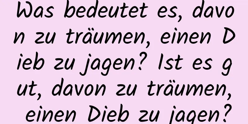 Was bedeutet es, davon zu träumen, einen Dieb zu jagen? Ist es gut, davon zu träumen, einen Dieb zu jagen?