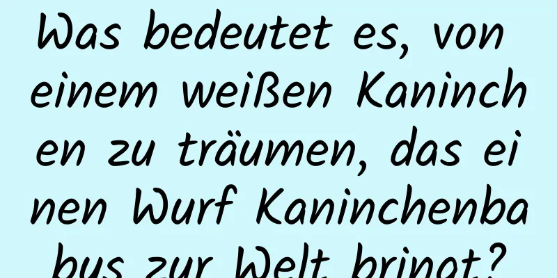 Was bedeutet es, von einem weißen Kaninchen zu träumen, das einen Wurf Kaninchenbabys zur Welt bringt?