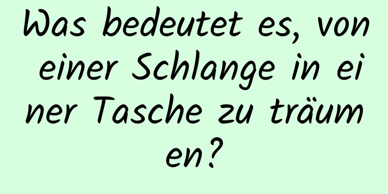 Was bedeutet es, von einer Schlange in einer Tasche zu träumen?