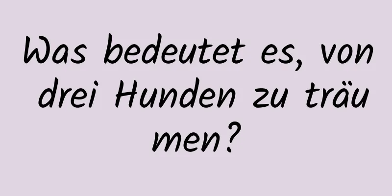 Was bedeutet es, von drei Hunden zu träumen?