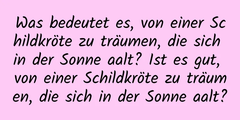 Was bedeutet es, von einer Schildkröte zu träumen, die sich in der Sonne aalt? Ist es gut, von einer Schildkröte zu träumen, die sich in der Sonne aalt?