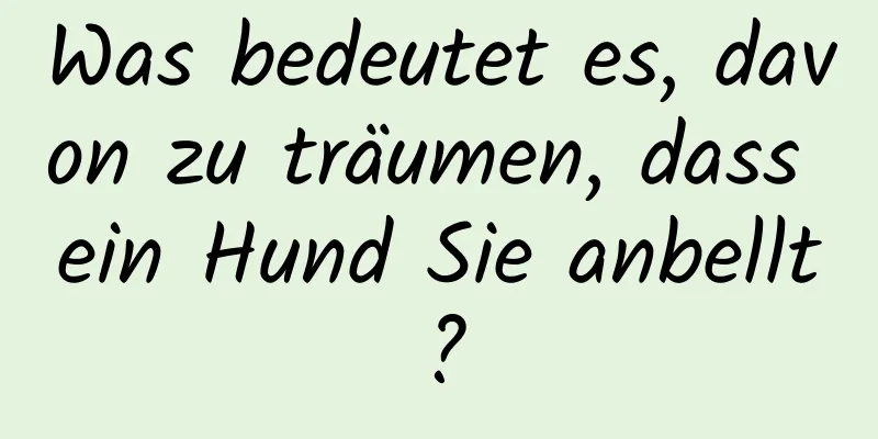 Was bedeutet es, davon zu träumen, dass ein Hund Sie anbellt?