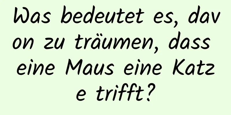 Was bedeutet es, davon zu träumen, dass eine Maus eine Katze trifft?