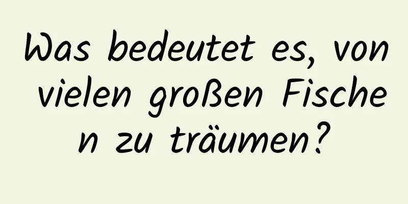 Was bedeutet es, von vielen großen Fischen zu träumen?