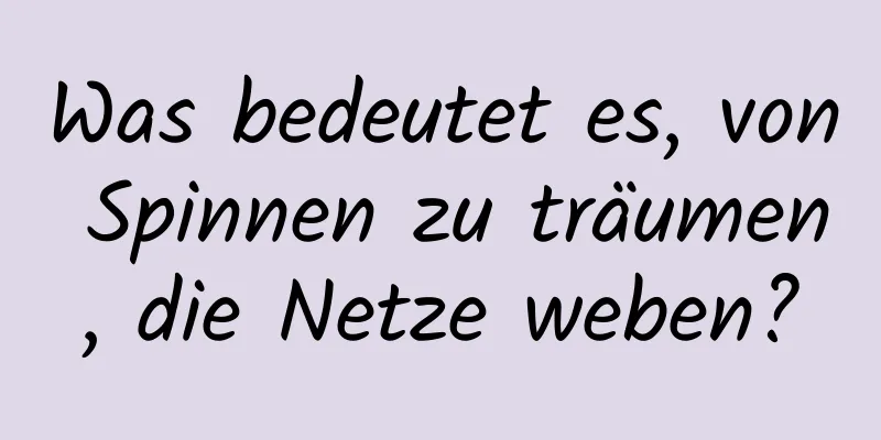 Was bedeutet es, von Spinnen zu träumen, die Netze weben?