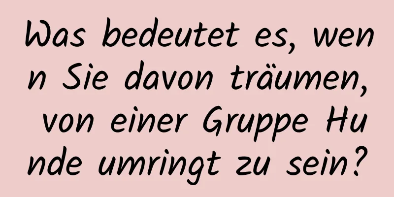 Was bedeutet es, wenn Sie davon träumen, von einer Gruppe Hunde umringt zu sein?