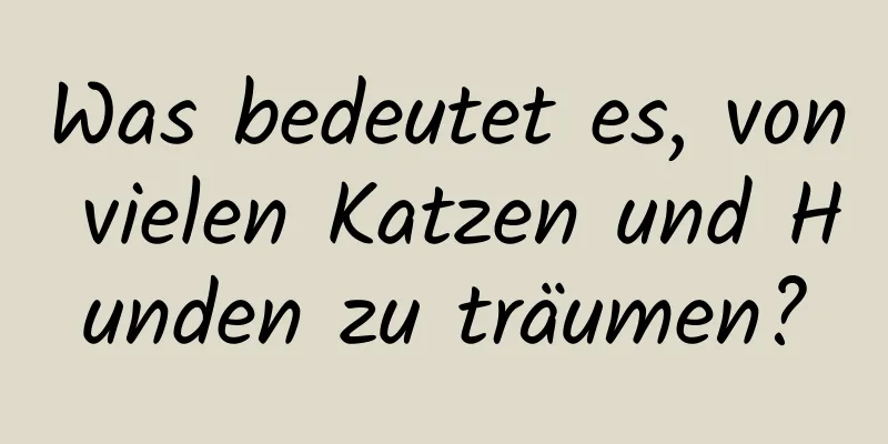 Was bedeutet es, von vielen Katzen und Hunden zu träumen?