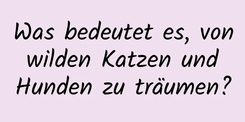 Was bedeutet es, von wilden Katzen und Hunden zu träumen?