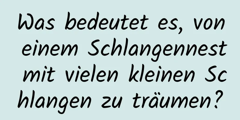 Was bedeutet es, von einem Schlangennest mit vielen kleinen Schlangen zu träumen?