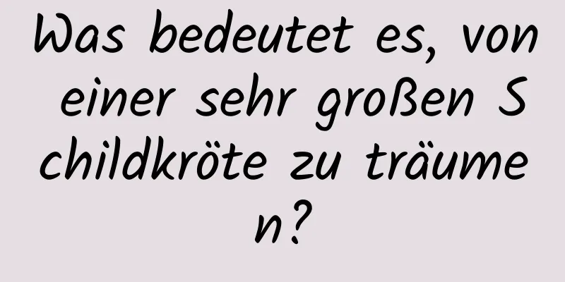 Was bedeutet es, von einer sehr großen Schildkröte zu träumen?