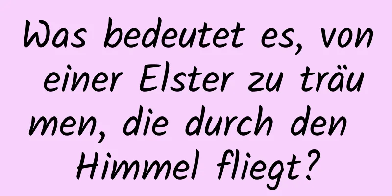 Was bedeutet es, von einer Elster zu träumen, die durch den Himmel fliegt?