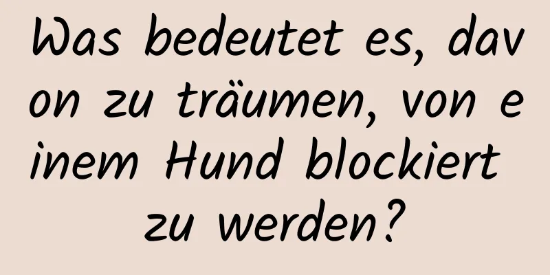 Was bedeutet es, davon zu träumen, von einem Hund blockiert zu werden?