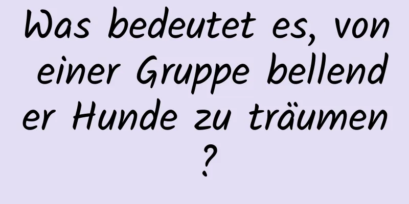 Was bedeutet es, von einer Gruppe bellender Hunde zu träumen?