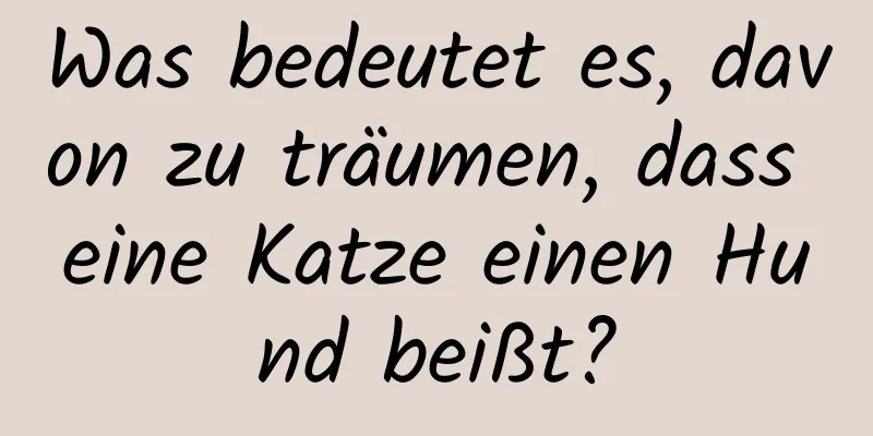 Was bedeutet es, davon zu träumen, dass eine Katze einen Hund beißt?