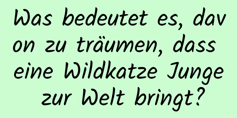 Was bedeutet es, davon zu träumen, dass eine Wildkatze Junge zur Welt bringt?