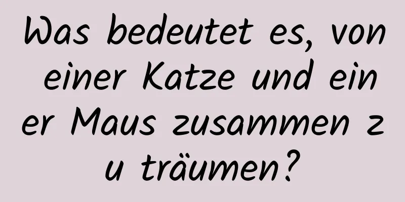 Was bedeutet es, von einer Katze und einer Maus zusammen zu träumen?