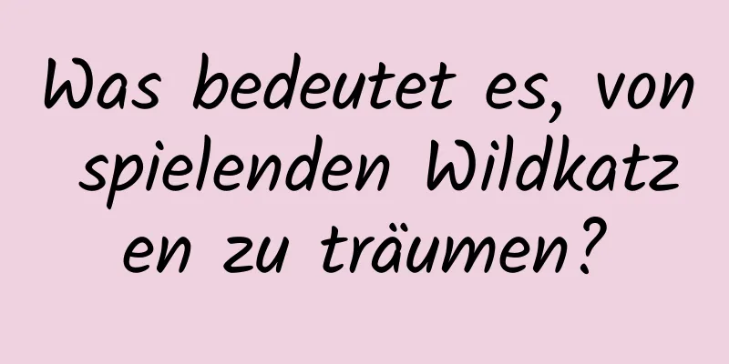 Was bedeutet es, von spielenden Wildkatzen zu träumen?