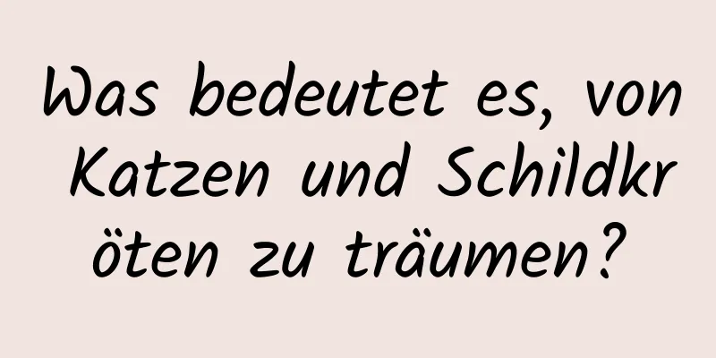 Was bedeutet es, von Katzen und Schildkröten zu träumen?