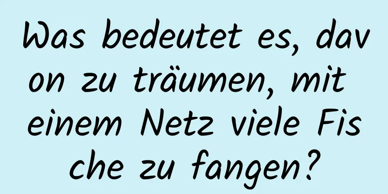 Was bedeutet es, davon zu träumen, mit einem Netz viele Fische zu fangen?