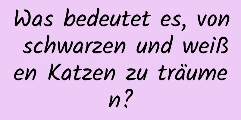 Was bedeutet es, von schwarzen und weißen Katzen zu träumen?