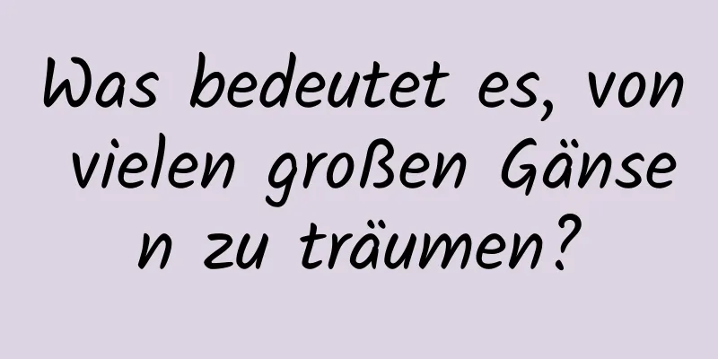 Was bedeutet es, von vielen großen Gänsen zu träumen?