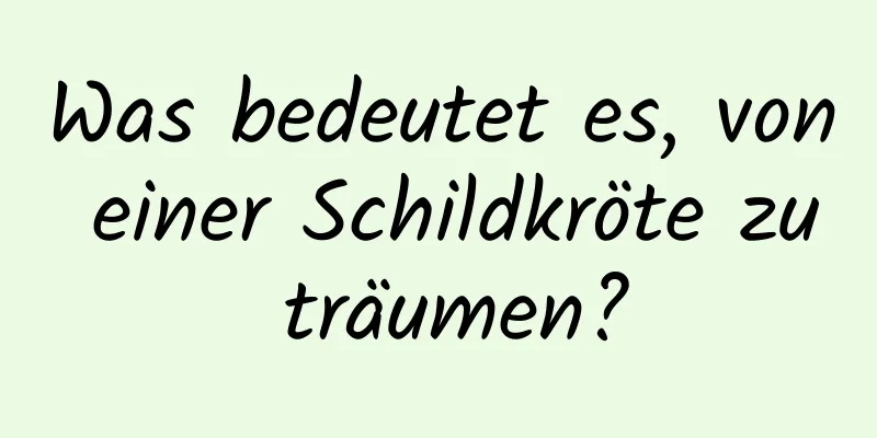 Was bedeutet es, von einer Schildkröte zu träumen?