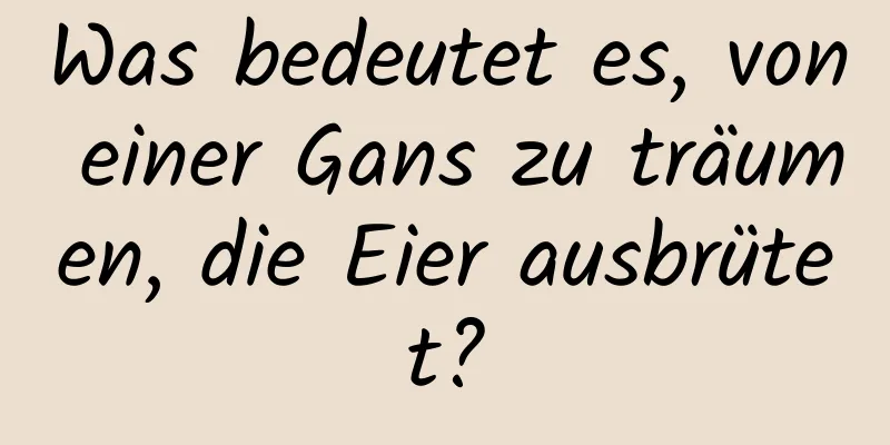 Was bedeutet es, von einer Gans zu träumen, die Eier ausbrütet?