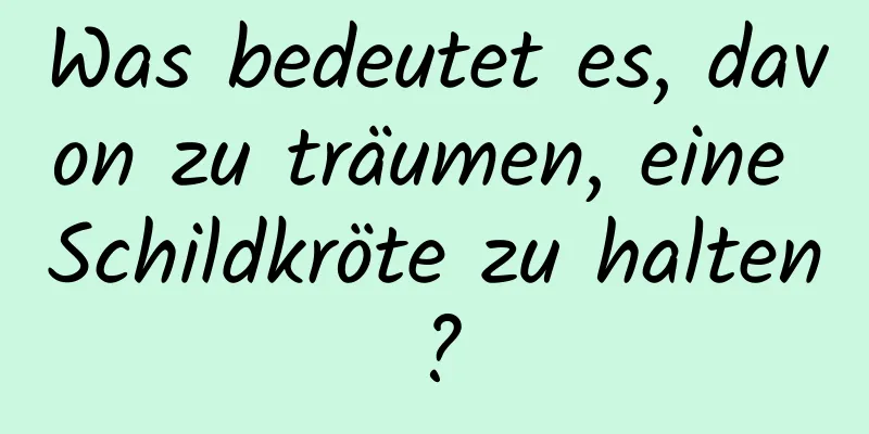 Was bedeutet es, davon zu träumen, eine Schildkröte zu halten?