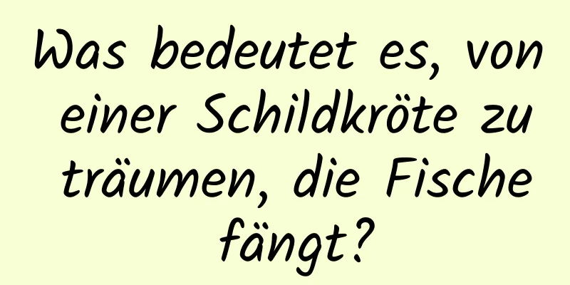 Was bedeutet es, von einer Schildkröte zu träumen, die Fische fängt?