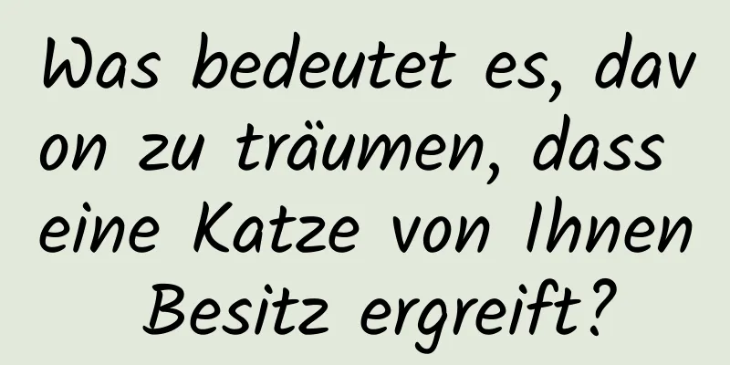 Was bedeutet es, davon zu träumen, dass eine Katze von Ihnen Besitz ergreift?