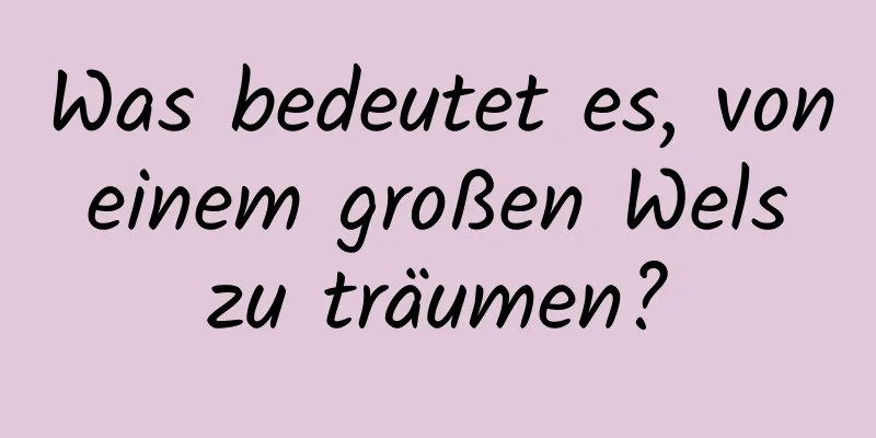 Was bedeutet es, von einem großen Wels zu träumen?