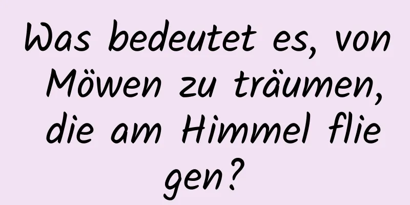 Was bedeutet es, von Möwen zu träumen, die am Himmel fliegen?