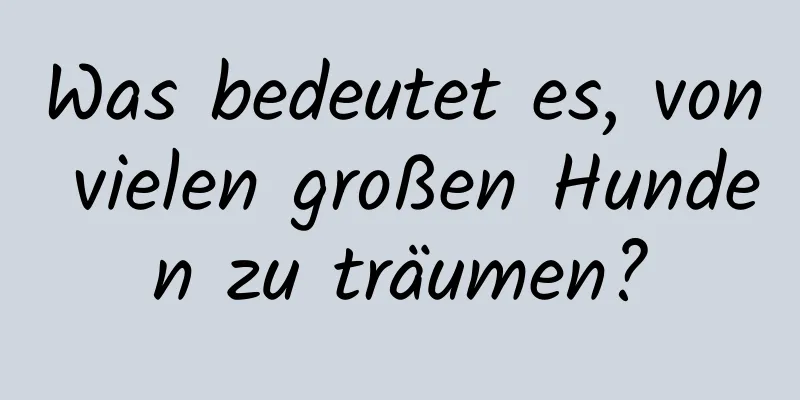 Was bedeutet es, von vielen großen Hunden zu träumen?