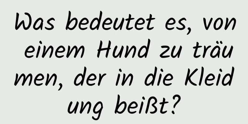 Was bedeutet es, von einem Hund zu träumen, der in die Kleidung beißt?