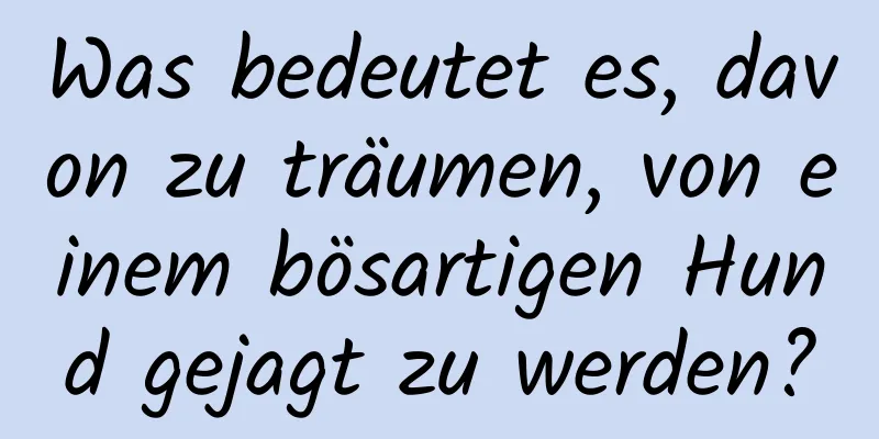 Was bedeutet es, davon zu träumen, von einem bösartigen Hund gejagt zu werden?