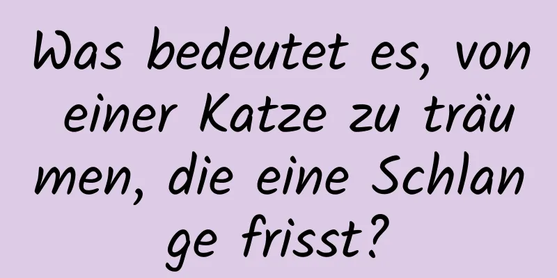 Was bedeutet es, von einer Katze zu träumen, die eine Schlange frisst?