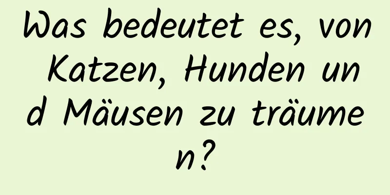 Was bedeutet es, von Katzen, Hunden und Mäusen zu träumen?