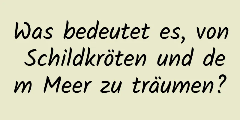 Was bedeutet es, von Schildkröten und dem Meer zu träumen?