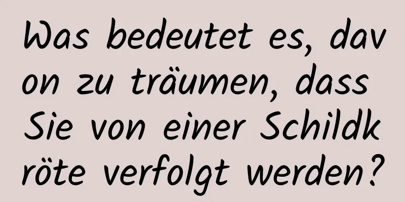 Was bedeutet es, davon zu träumen, dass Sie von einer Schildkröte verfolgt werden?