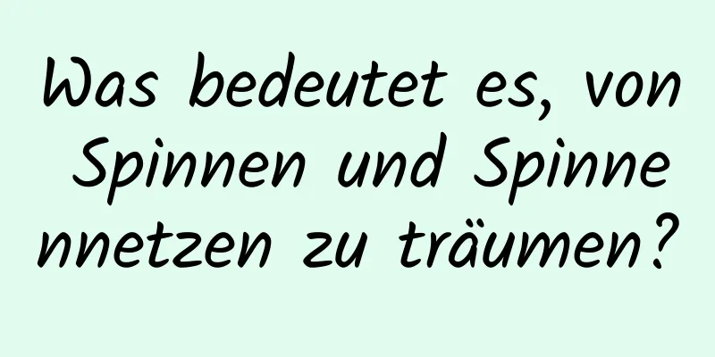 Was bedeutet es, von Spinnen und Spinnennetzen zu träumen?