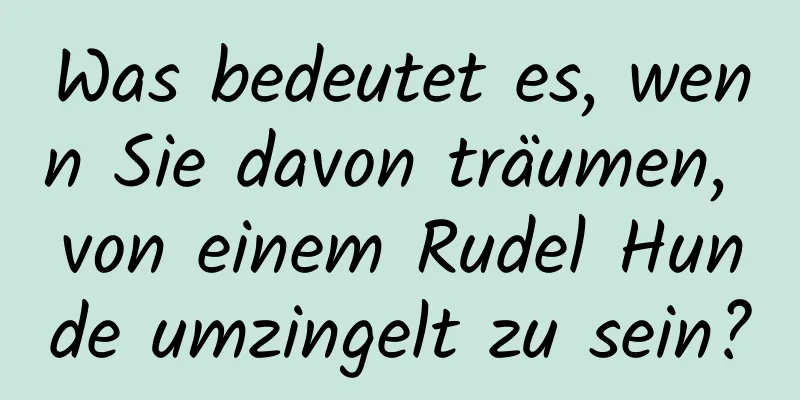 Was bedeutet es, wenn Sie davon träumen, von einem Rudel Hunde umzingelt zu sein?