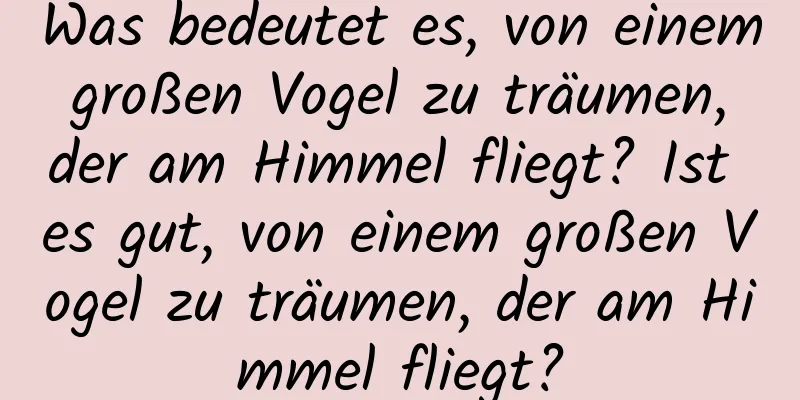 Was bedeutet es, von einem großen Vogel zu träumen, der am Himmel fliegt? Ist es gut, von einem großen Vogel zu träumen, der am Himmel fliegt?