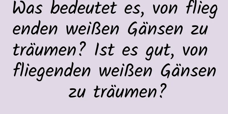 Was bedeutet es, von fliegenden weißen Gänsen zu träumen? Ist es gut, von fliegenden weißen Gänsen zu träumen?