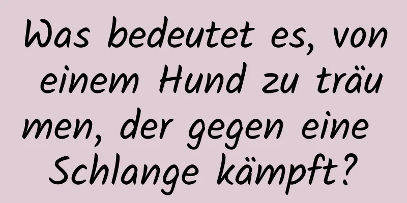 Was bedeutet es, von einem Hund zu träumen, der gegen eine Schlange kämpft?