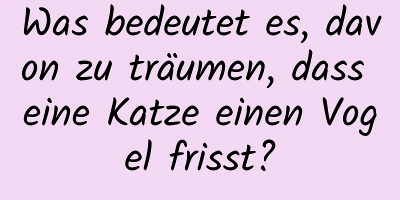 Was bedeutet es, davon zu träumen, dass eine Katze einen Vogel frisst?