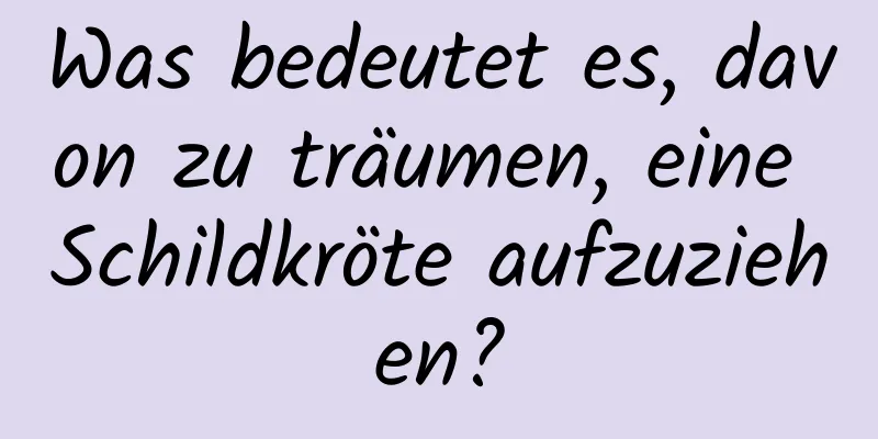 Was bedeutet es, davon zu träumen, eine Schildkröte aufzuziehen?