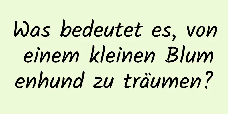 Was bedeutet es, von einem kleinen Blumenhund zu träumen?