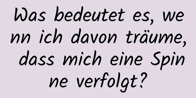 Was bedeutet es, wenn ich davon träume, dass mich eine Spinne verfolgt?